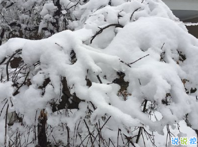 下雪天朋友圈唯美说说配图 下雪了说说简短一句话3