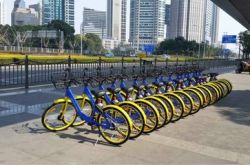 共享单车的印度崛起:东方不亮西方亮?