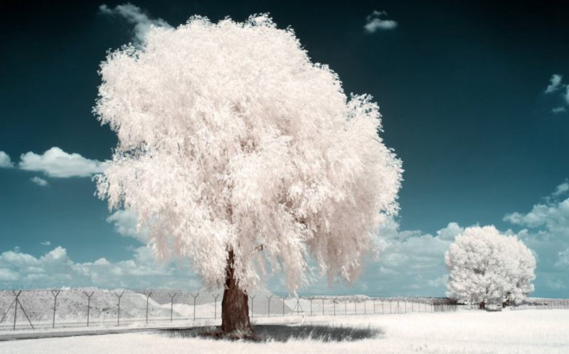 摄影技巧：红外摄影下的绿色变成了雪景(图4)