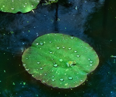 国税地税合并将给纳税人带来哪些利好？