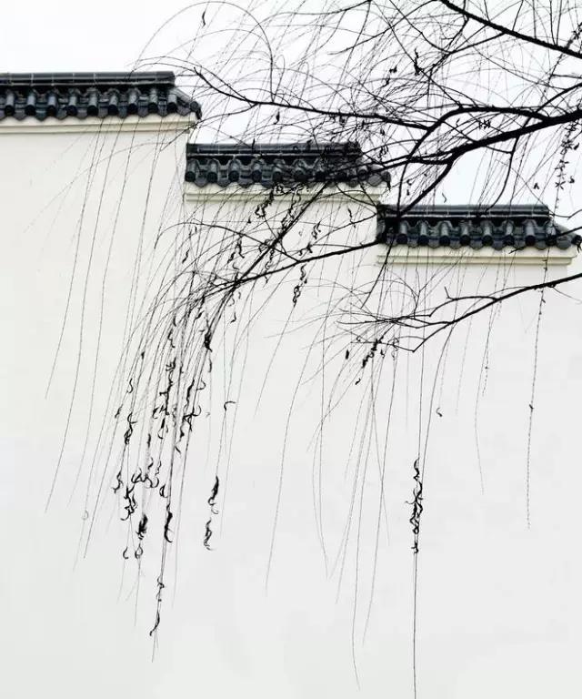 愿岁月可回首,且以深情共余生(图2) 愿岁月可回首,且以深情共余生(图2)