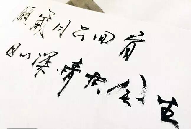 愿岁月可回首,且以深情共余生(图3) 愿岁月可回首,且以深情共余生(图3)