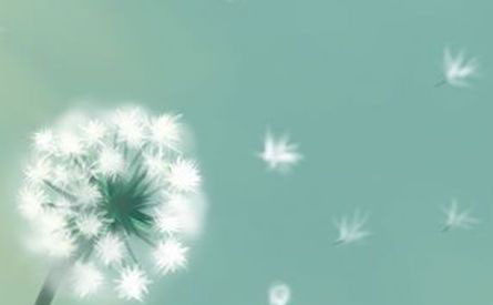 不怪时间太瘦指间太宽(图1) 不怪时间太瘦指间太宽(图1)