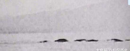 世界上最著名的十大水怪,揭秘十大水怪之谜(图片大全)(图4) 世界十大水怪之谜
