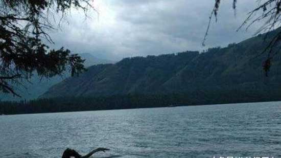 世界上最著名的十大水怪,揭秘十大水怪之谜(图片大全)(图5) 世界十大水怪