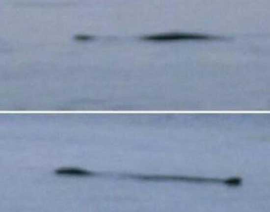 世界上最著名的十大水怪,揭秘十大水怪之谜(图片大全)(图7) 世界上最著名的十大水怪