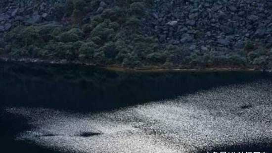 世界上最著名的十大水怪,揭秘十大水怪之谜(图片大全)(图9) 世界十大水怪图片大全