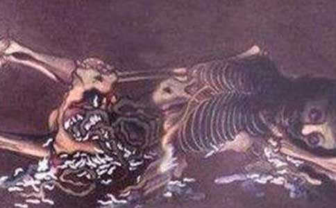 15个最恐怖的维基百科词条,千万别在维基百科搜索的页面(图13) 维基百科恐怖事件