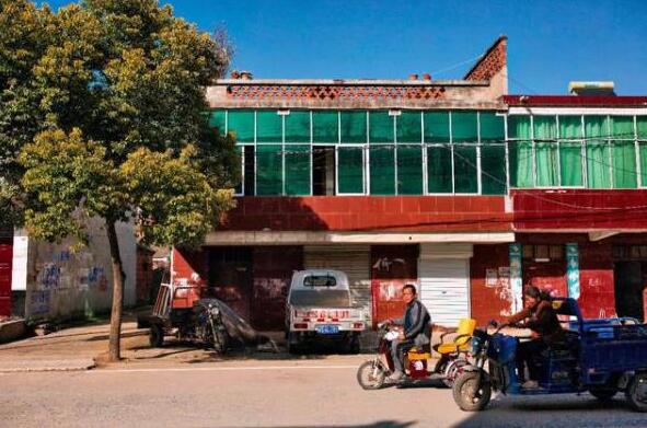 河南富商杀人案,亿万富翁杨志才残杀丽梅真相(现实版农夫与蛇)(图4) 河南富商杀人案最新进展