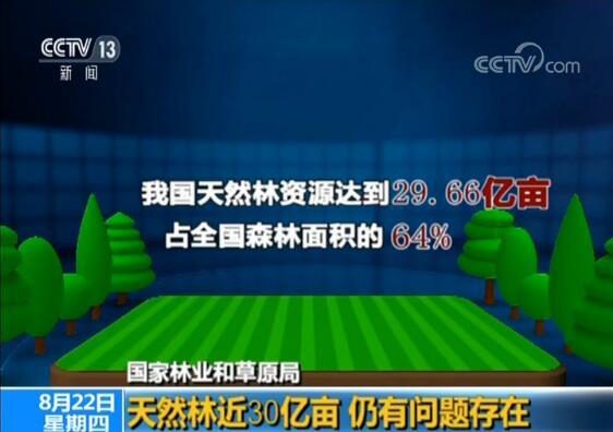 国家林业和草原局:升级天然林保护 守住绿水青山(图1) 国家林业和草原局:升级天然林保护 守住绿水青山(图1)