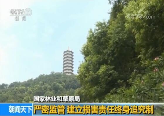 国家林业和草原局:升级天然林保护 守住绿水青山(图2) 国家林业和草原局:升级天然林保护 守住绿水青山(图2)