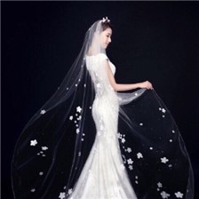 超唯美的新娘婚纱图片大全欣赏
