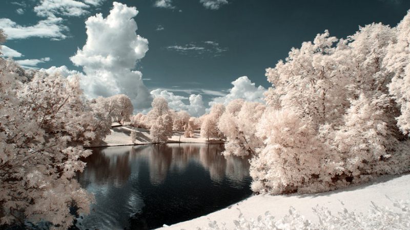 摄影技巧:红外摄影下的绿色变成了雪景(图3) 摄影技巧:红外摄影下的绿色变成了雪景(图3)