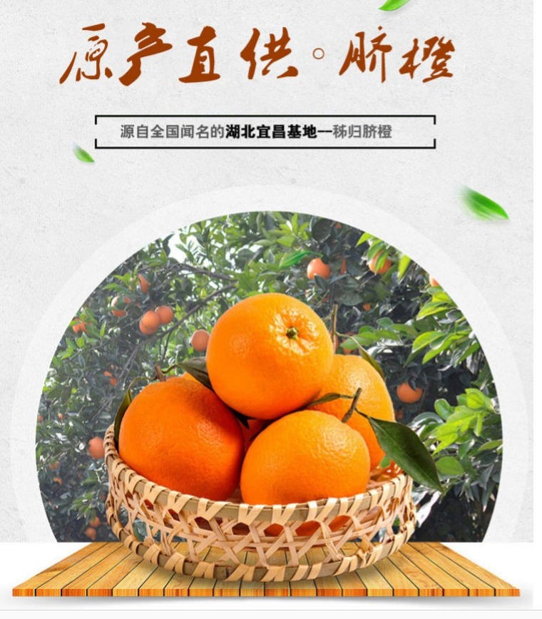 天呈果园 湖北秭归春橙伦晚橙子新鲜孕妇水果产地现摘直发 九斤装精选大果75-80mm(图1) 天呈果园 湖北秭归春橙伦晚橙子新鲜孕妇水果产地现摘直发 九斤装精选大果75-80mm(图1)