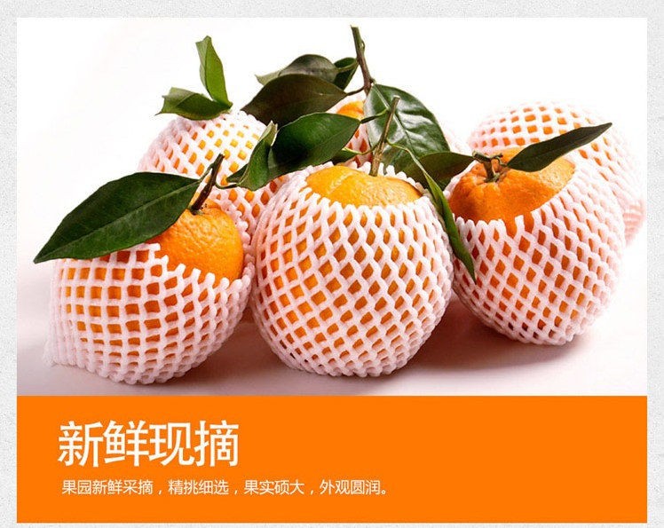 天呈果园 湖北秭归春橙伦晚橙子新鲜孕妇水果产地现摘直发 九斤装精选大果75-80mm(图5) 天呈果园 湖北秭归春橙伦晚橙子新鲜孕妇水果产地现摘直发 九斤装精选大果75-80mm(图5)